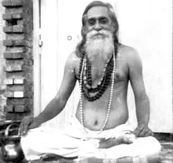 Read more about the article Purnatva: The Life and Times of Swami Asimananda Saraswati